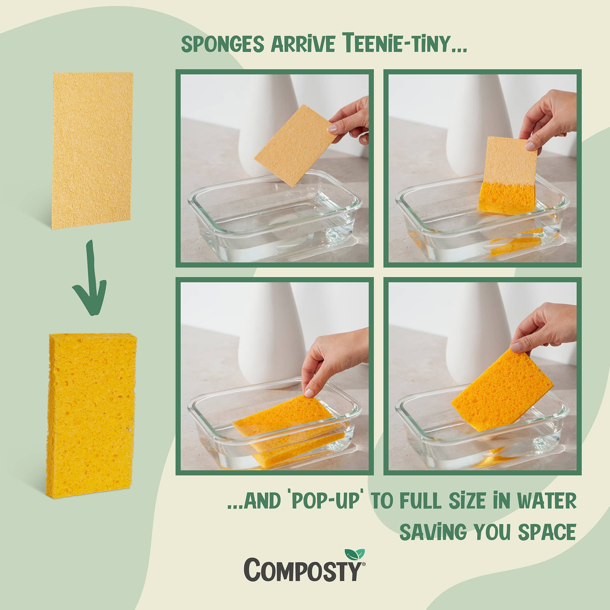 Composty - Wholesale Cleaning Sponge - Composty® | 'Pop-Up' Eco Sponges | 12 Pack |1