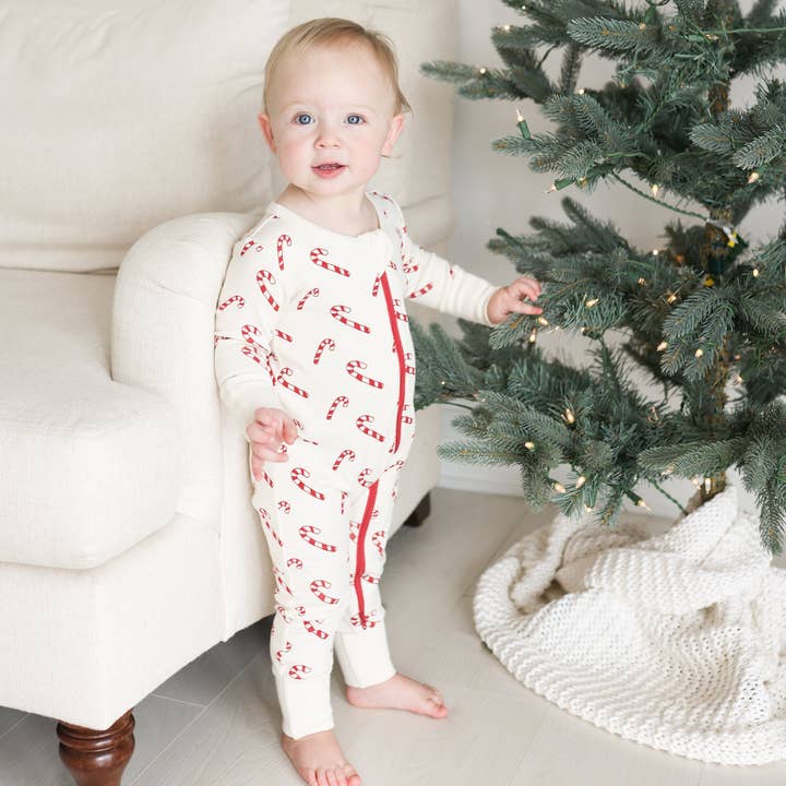 Parade Organics - Wholesale Sleepsuit - Baby - Organic Signature Print '2-Way' Zip Matching Holiday Romper15