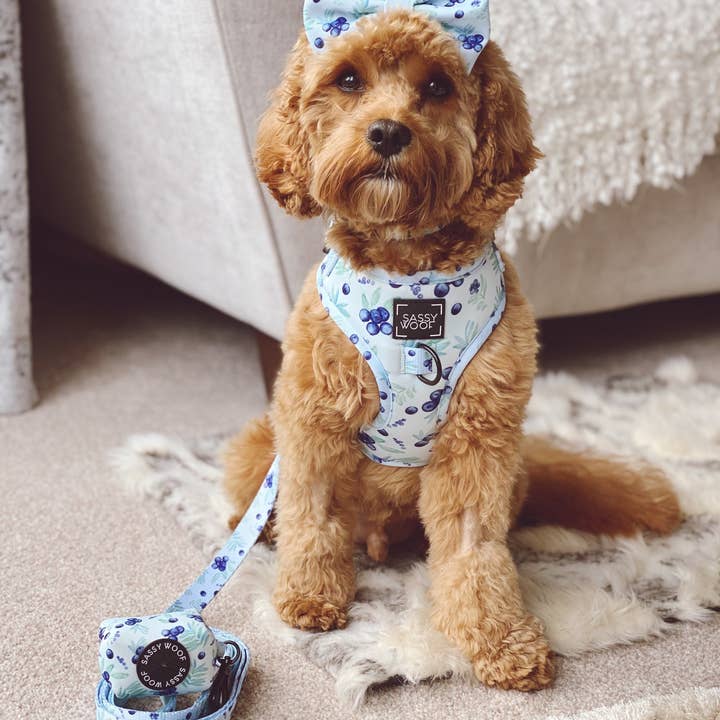 SASSY WOOF - Wholesale Pet Harness - Dog - Dog Adjustable Harness - Berry Sassy (Fruits)9