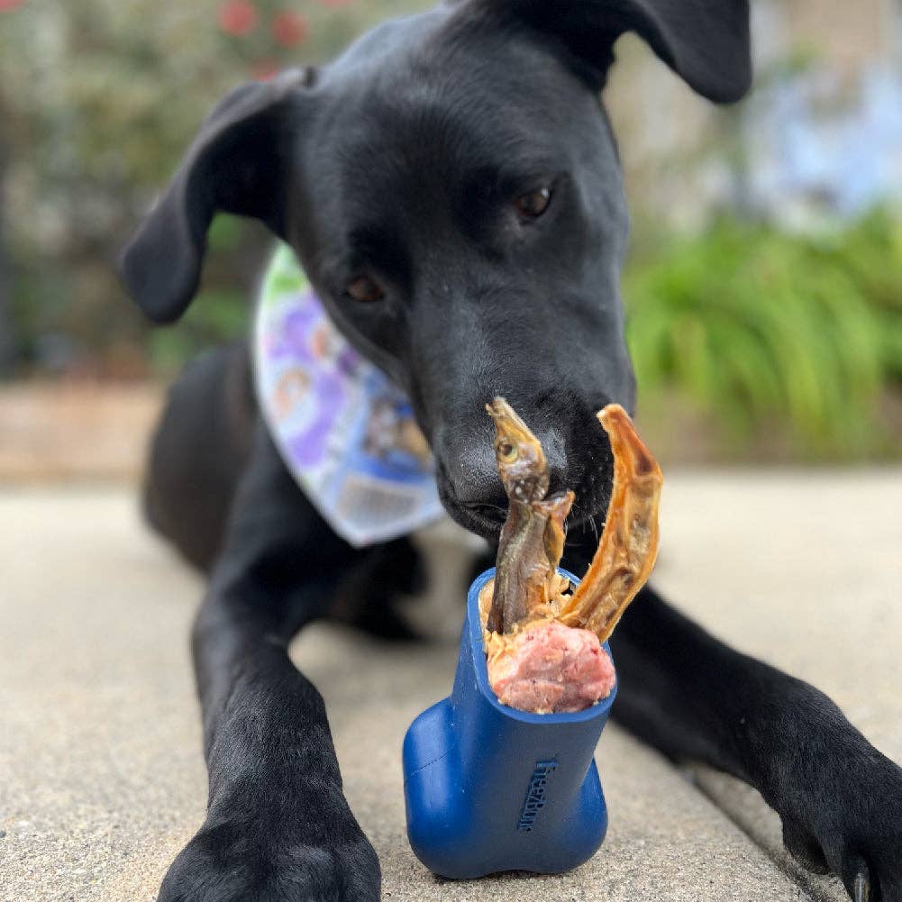 Freezbone - Wholesale Pet Chew Toy - Dog - Freezbone - The Dog Feeders ®6