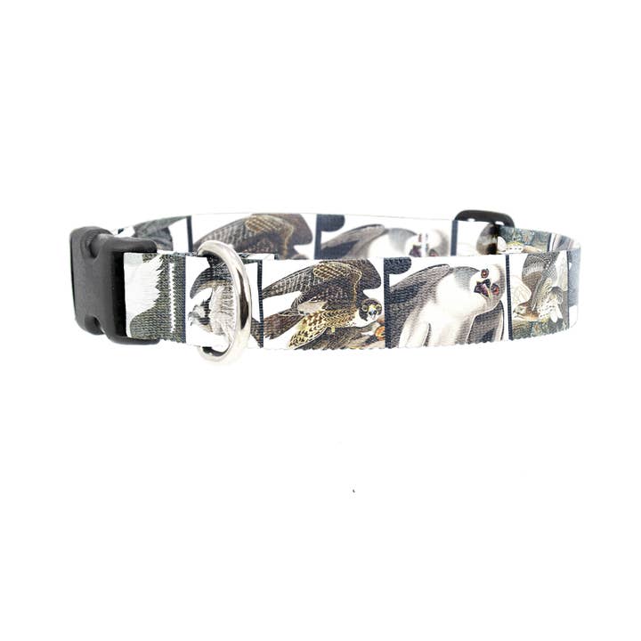 Audubon Raptors Dog Collar - Made in the USA for wholesale by Buttonsmith