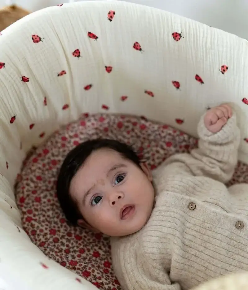 Manufacture des bébés français - Wholesale Bassinet - Baby - Bassinet cover Ladybugs3