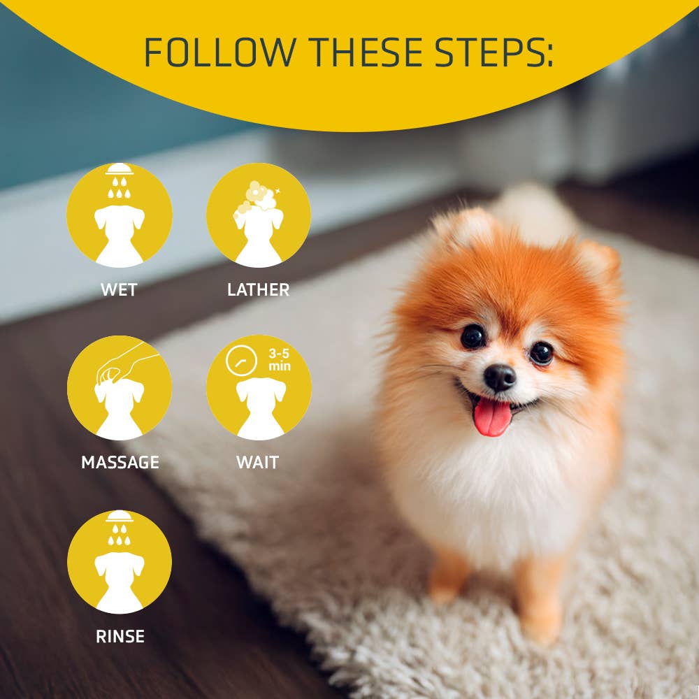 ARTERO Inspiring Style – Großhandel Haustiershampoo – Hund – Artero Bloom Hundeshampoo mit Arganöl, 5000 ml2