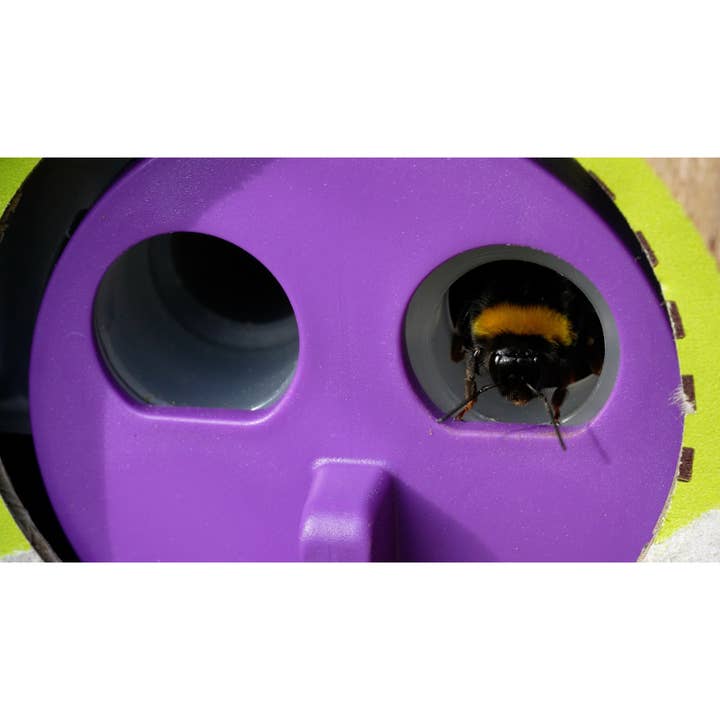 Agralan - Wholesale Plant Seeds - Bumblebee Colony Refill