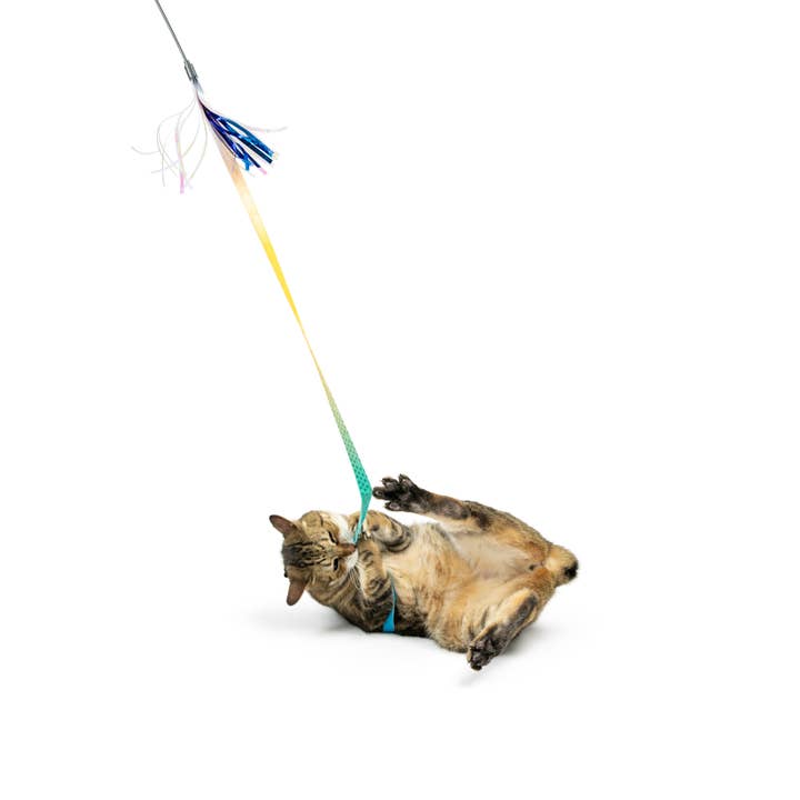 Huxley & Kent - Wholesale Pet toy – Cat - Dance & Lure Aqua Cat Wand2