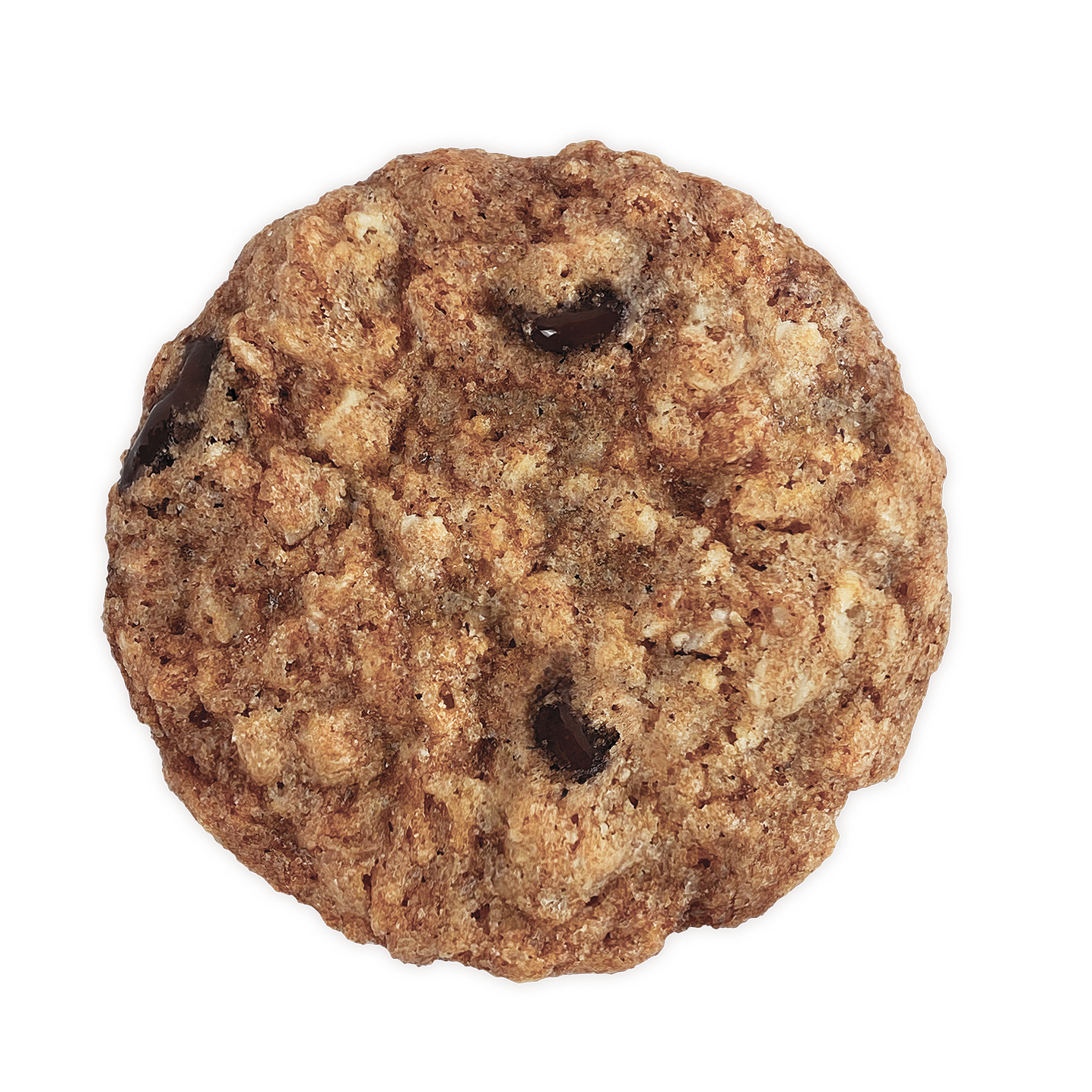 Eleni's Cookies - Wholesale Cookie - Oatmeal Chocolate Chip Cookie Rectangle Box2