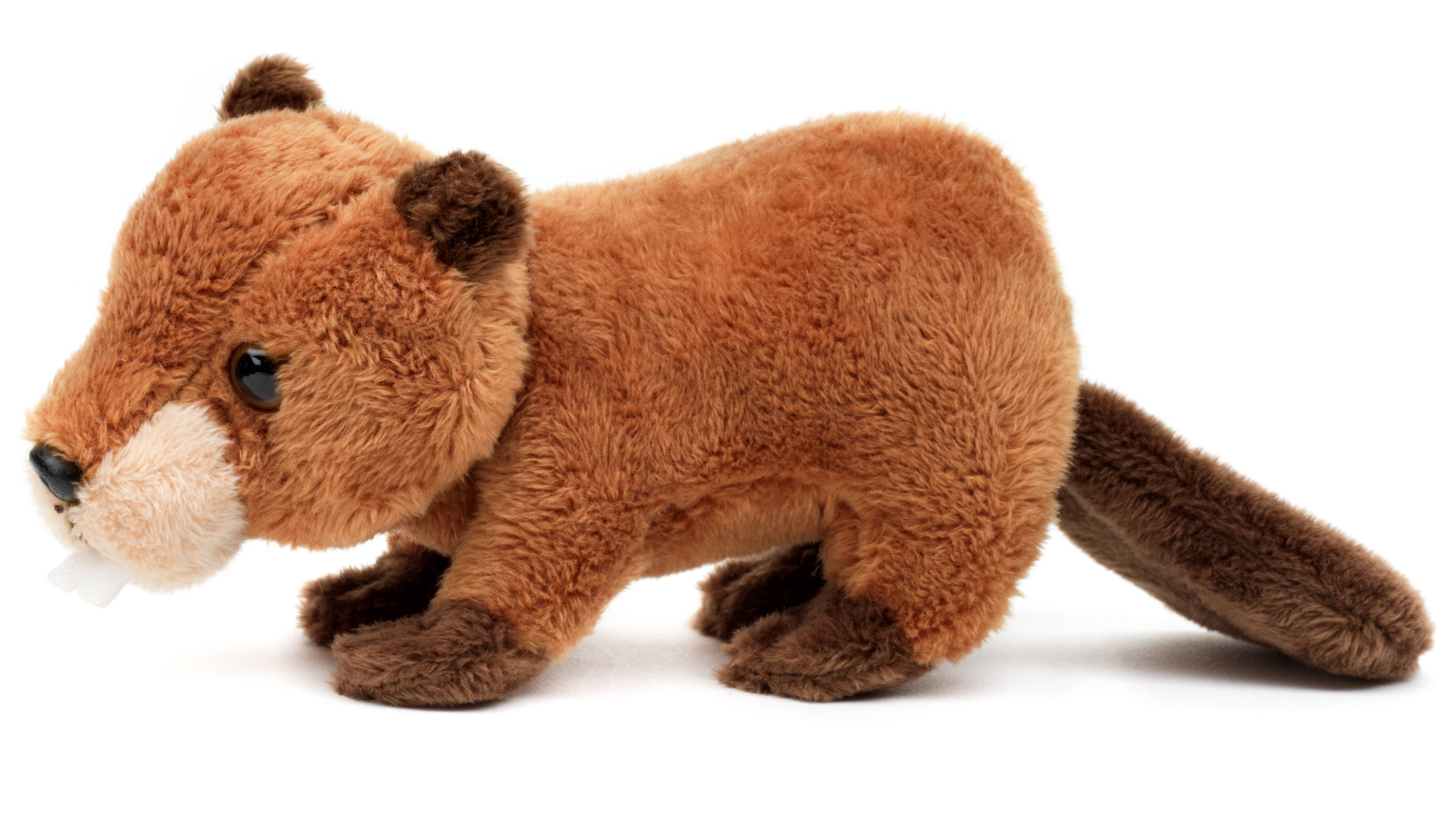 Uni Toys - Wholesale Stuffed/Plush Toy - Kids & Baby - Beaver Plushie - 20 cm (length) - cuddly/plush toy3