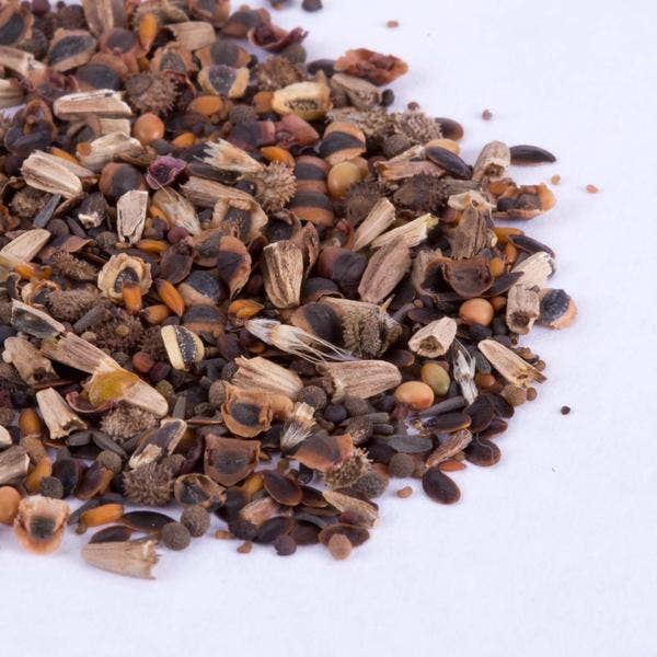 Bentley Seed Co. - Wholesale Plant Seeds - Oh Baby Baby Shower Brown - Bouquet Wildflower Seed Packets12
