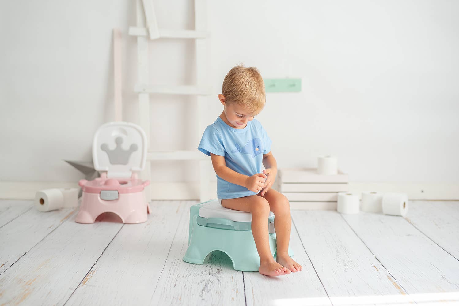 Olmitos S.A – Großhandel Töpfchen-Trainingsstuhl – Kinder-Töpfchen 3-in-1 Corona in hellen Farben22