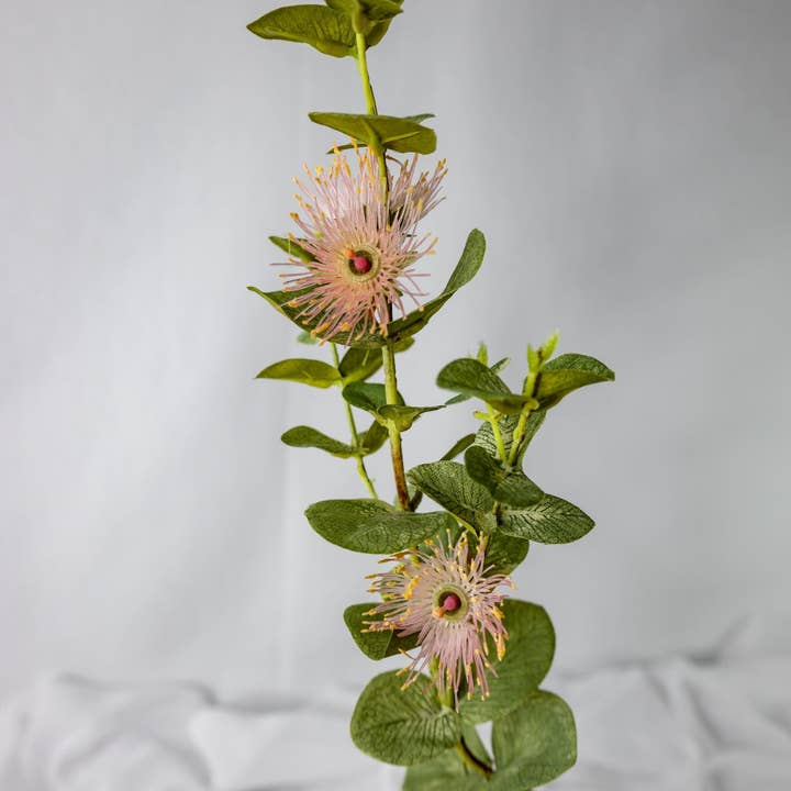 Realistic Artificial Flowers - Vendita all'ingrosso Fiori finti - Fiori Artificiali Realistici di Eucalipto Rosa Australiano in Fiore3