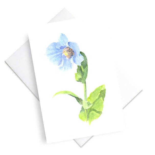 Arctic Poppy for wholesale by Two Bees Design Studio