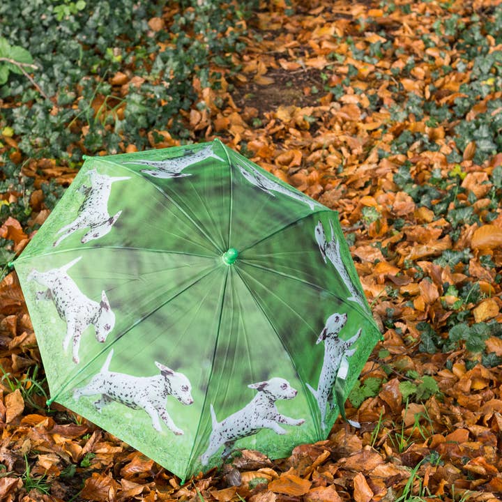children's umbrella. Umbrella for children with dog motif. Regensc for wholesale by Antikas