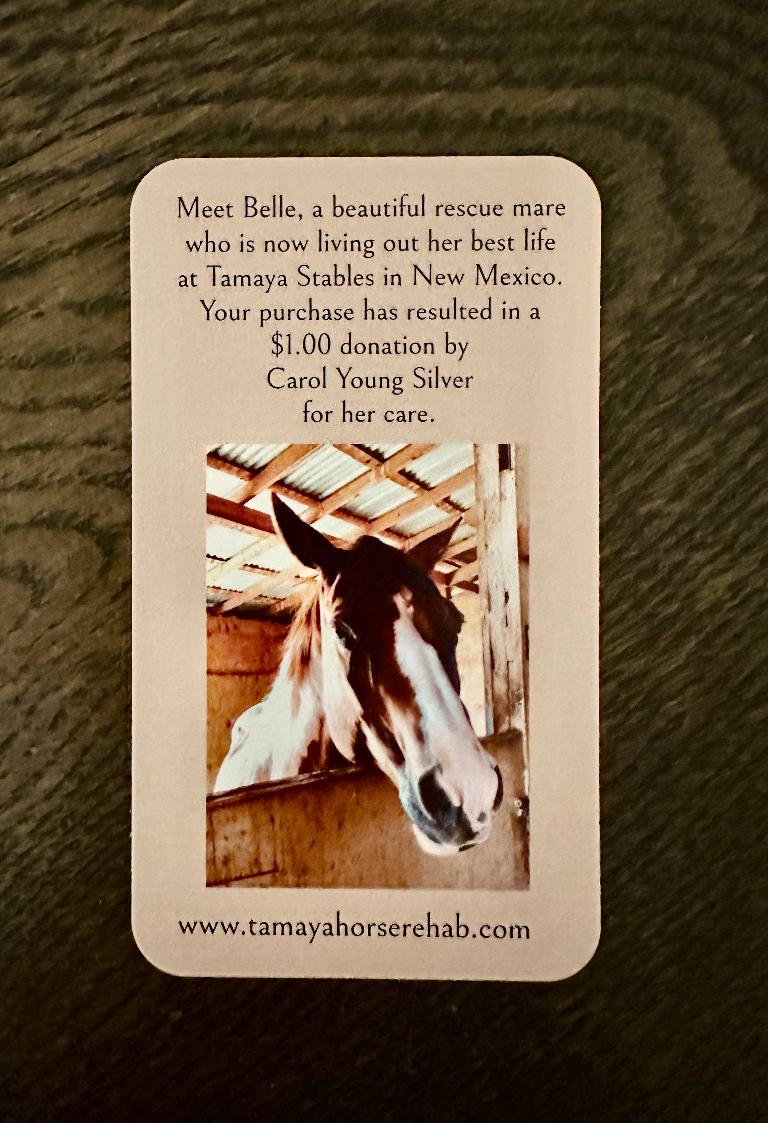 Carol Young Silver – wholesale Pendant/charm necklace – Saddle Stirrup Necklace w/AQUA Bead Jewelry6