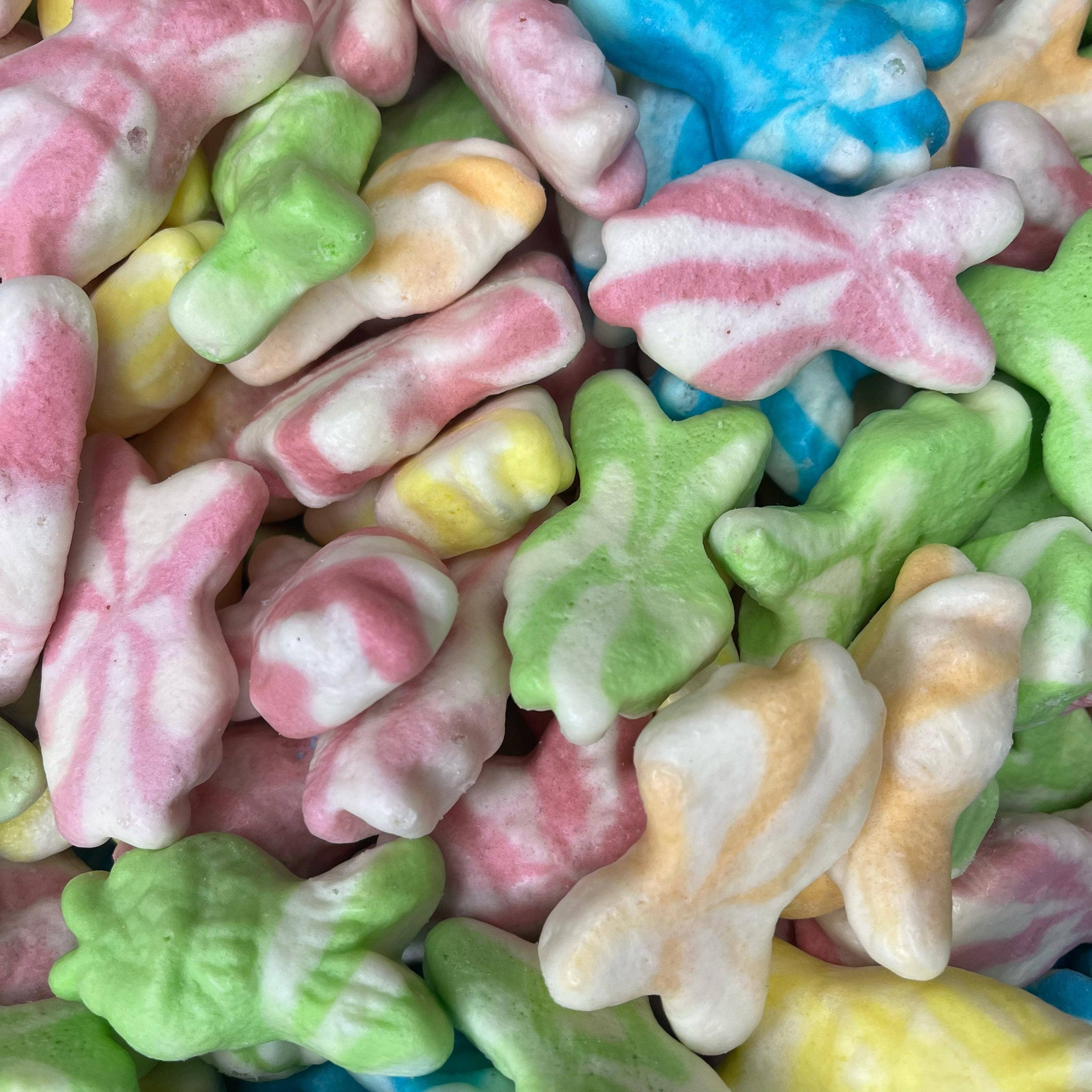 Freeze Dried Sweets – wholesale Gummy – Swirly Fish 6 Pieces - Freeze Dried Sweets0
