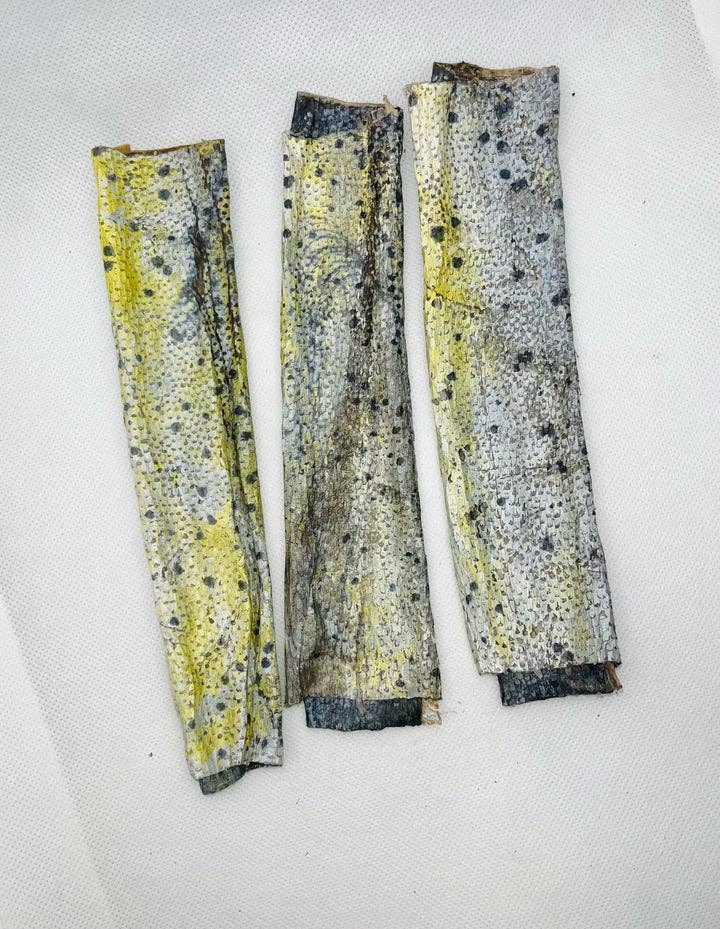 Florida Man Pet Treats - Wholesale Pet Treats - Dog - Dehydrated Mahi Mahi Dog Chew7