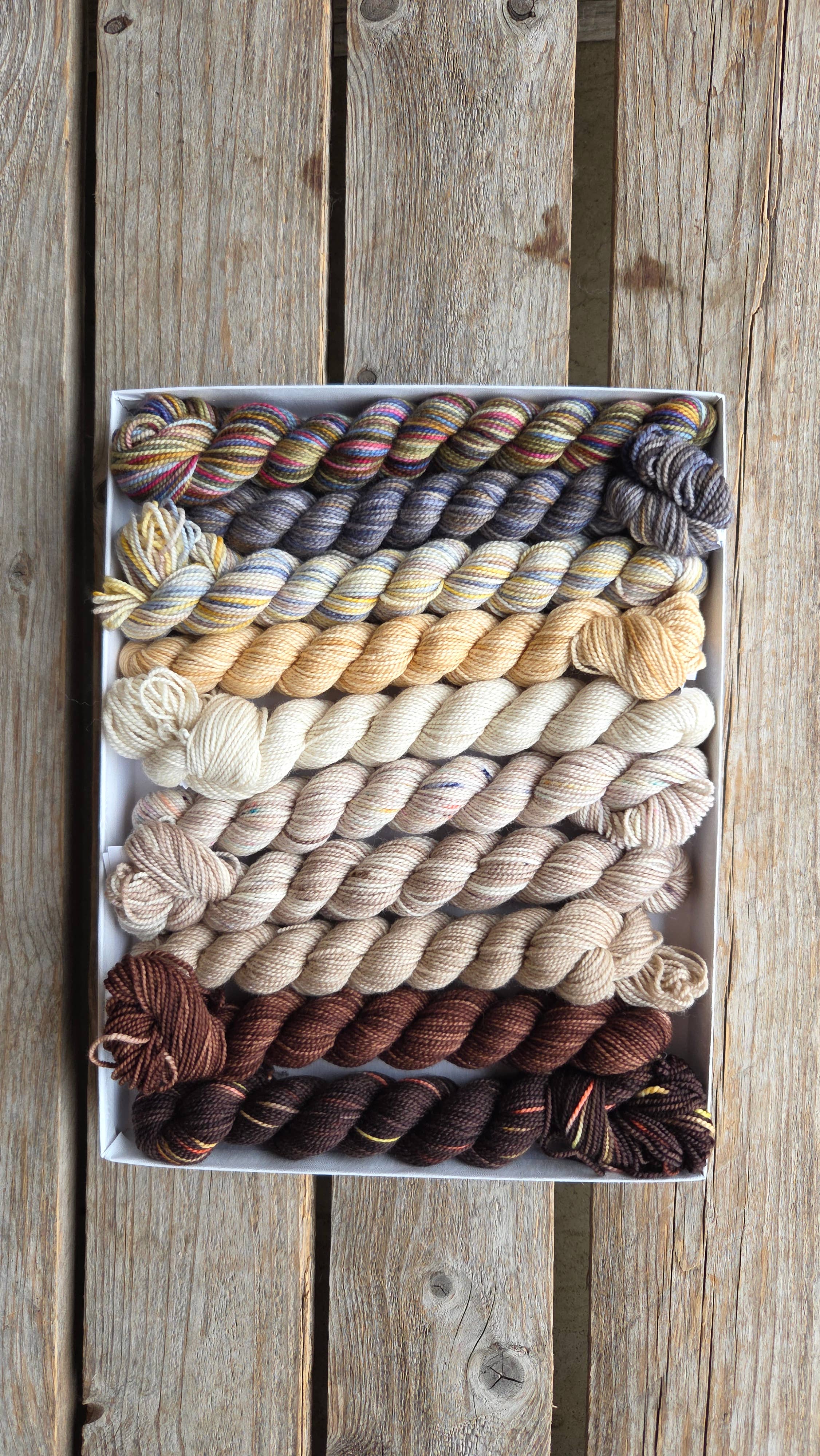 Koigu Wool Designs – wholesale Knitting/Crochet Supplies – Venation Shawl Kits - Pencil Boxes x Ambah 0