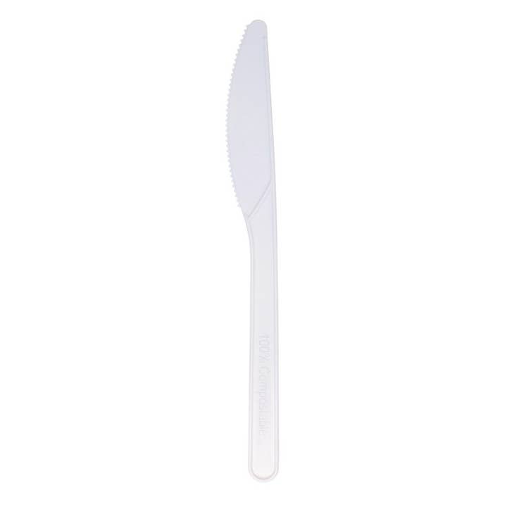 Pintinox - Wholesale Disposable Servingware Set - Pinti Bio disposable cutlery in a pack of 253