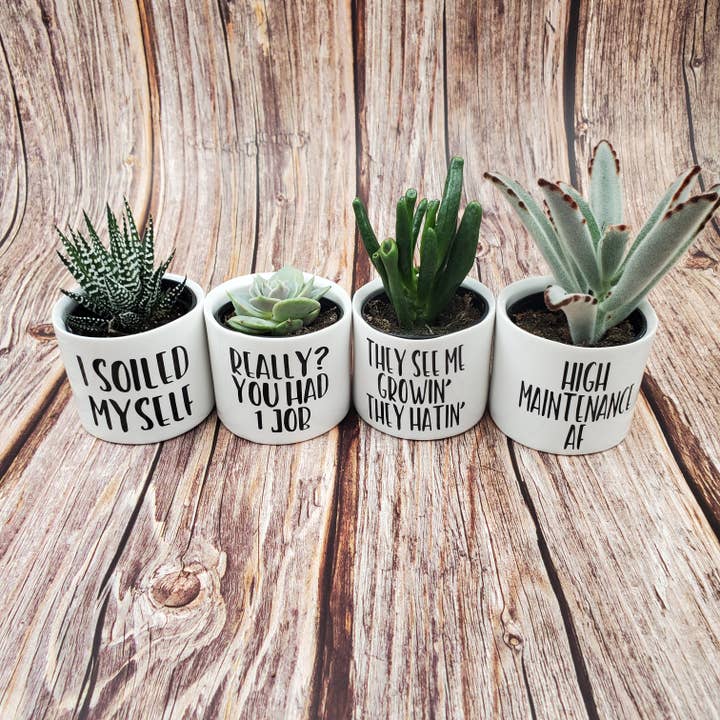 Blooms n rooms - Wholesale Plant Pot - Punny Plant Pots