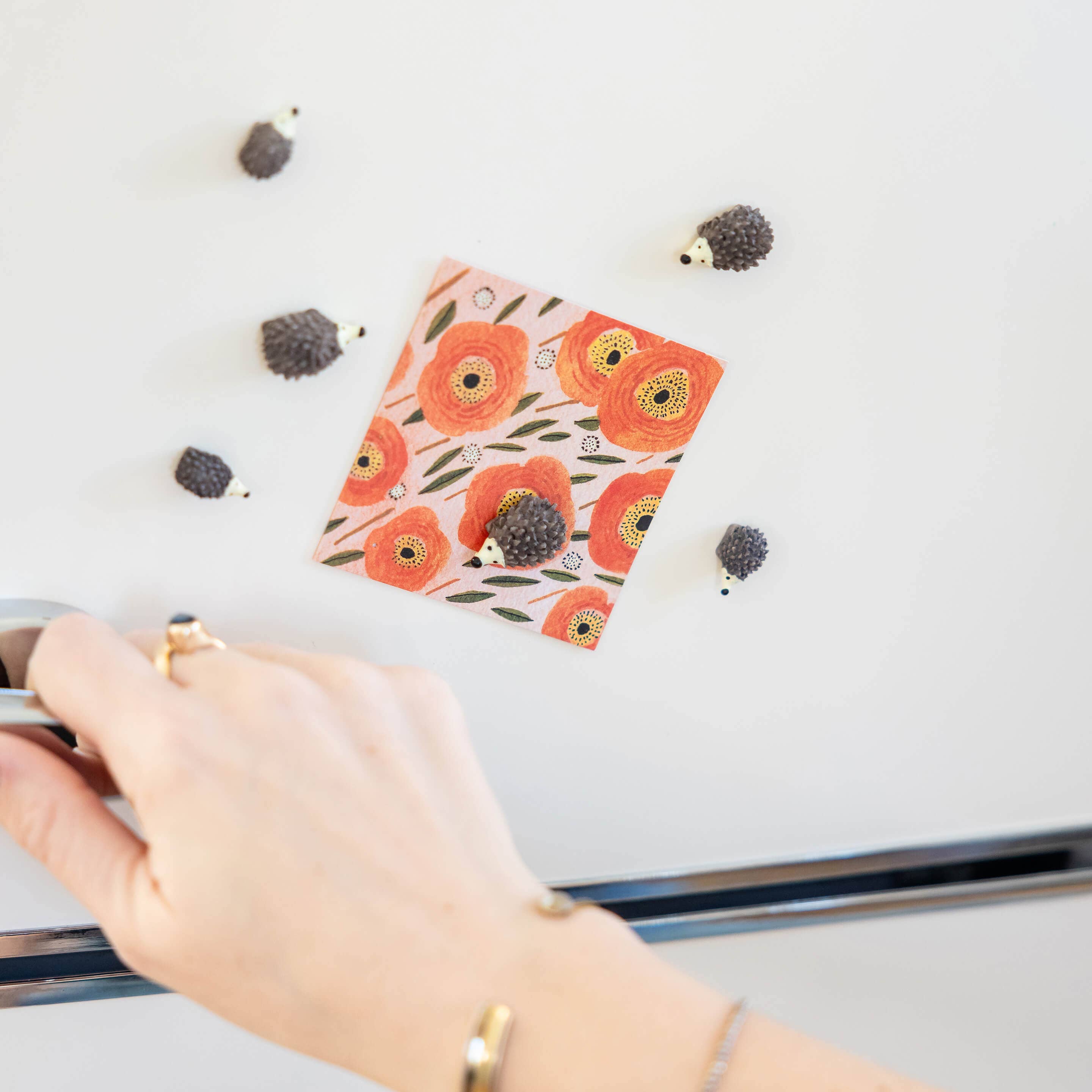 Three by Three Seattle - Wholesale Magnet - colorful hedgehog magnets1