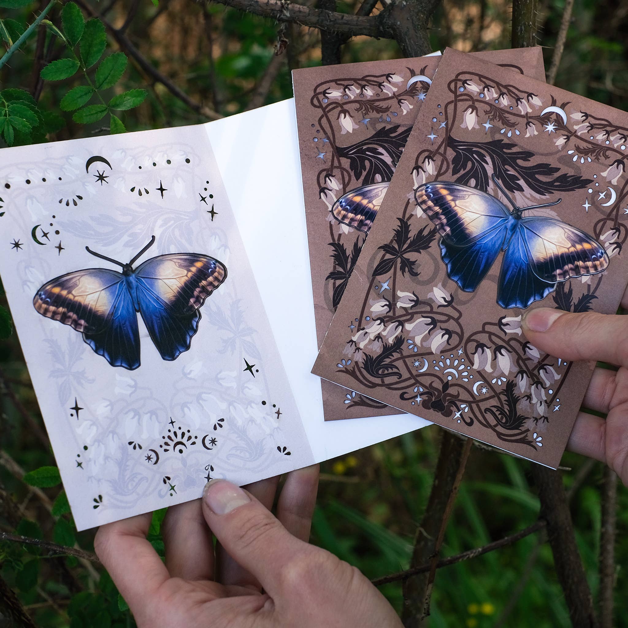 Moth and Myth – wholesale Everyday greeting card – Owl Butterfly Greeting Card with Removable Butterfly2