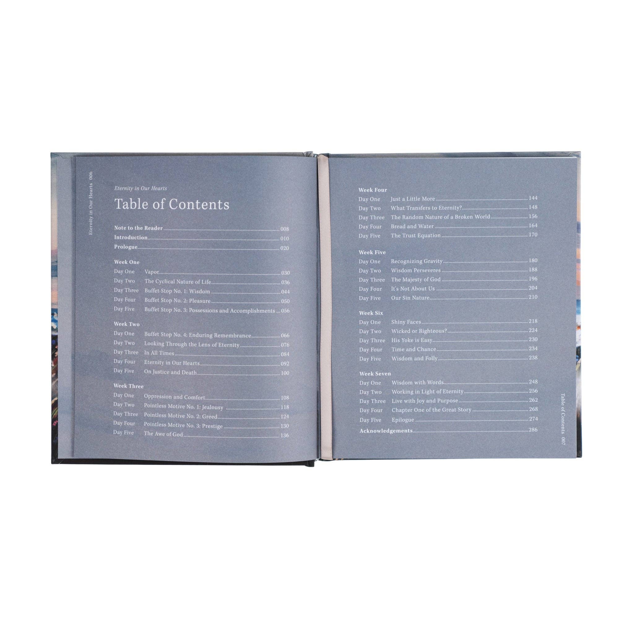 Hosanna Revival - Wholesale Religion Book - Eternity In Our Hearts by Alicia Hamilton4