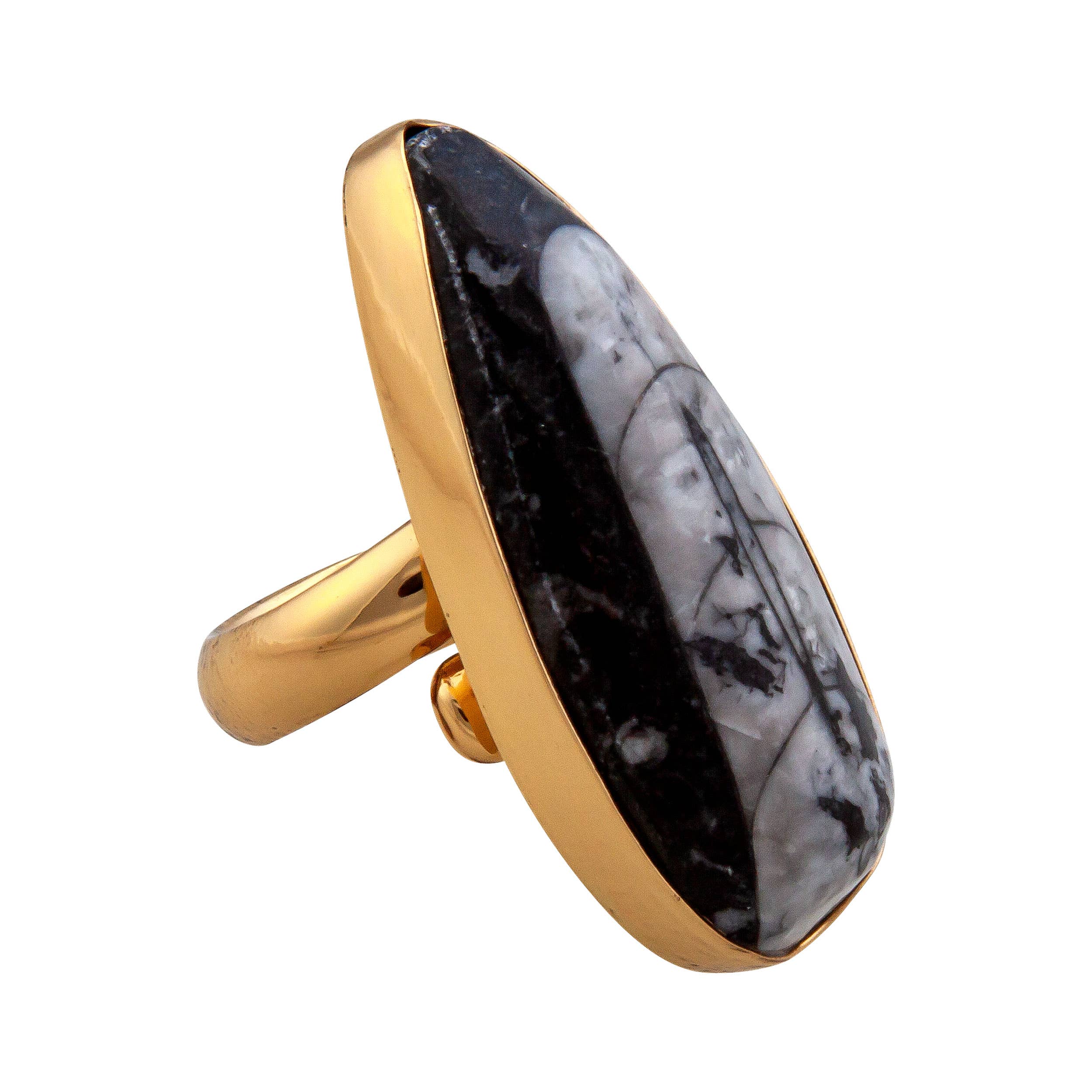 Charles Albert Inc - Wholesale Cocktail/Statement Ring - Alchemia Orthoceras Adjustable Ring1