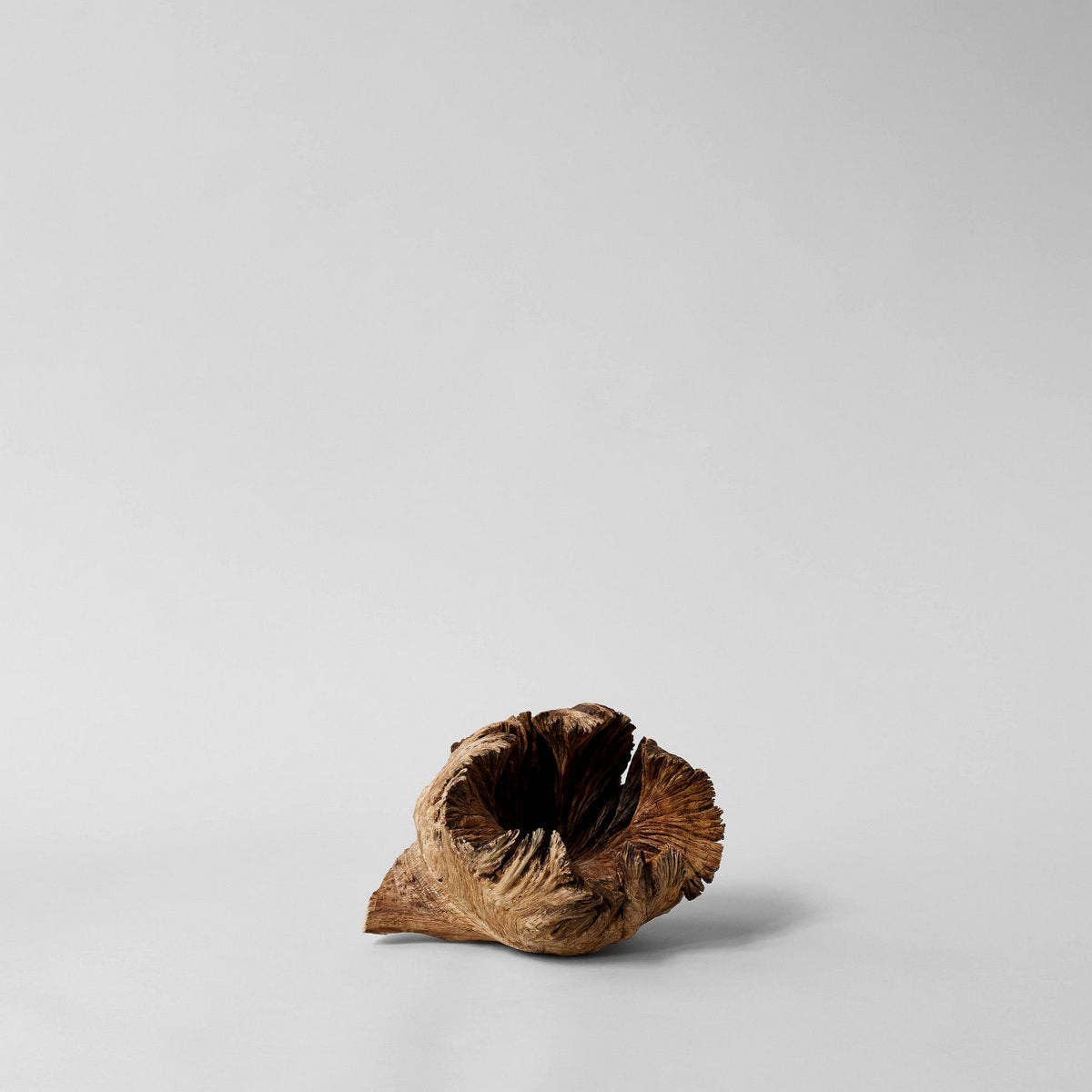 Bloomist – wholesale Dekorativt bordsobjekt – Sällsynt träblomma11