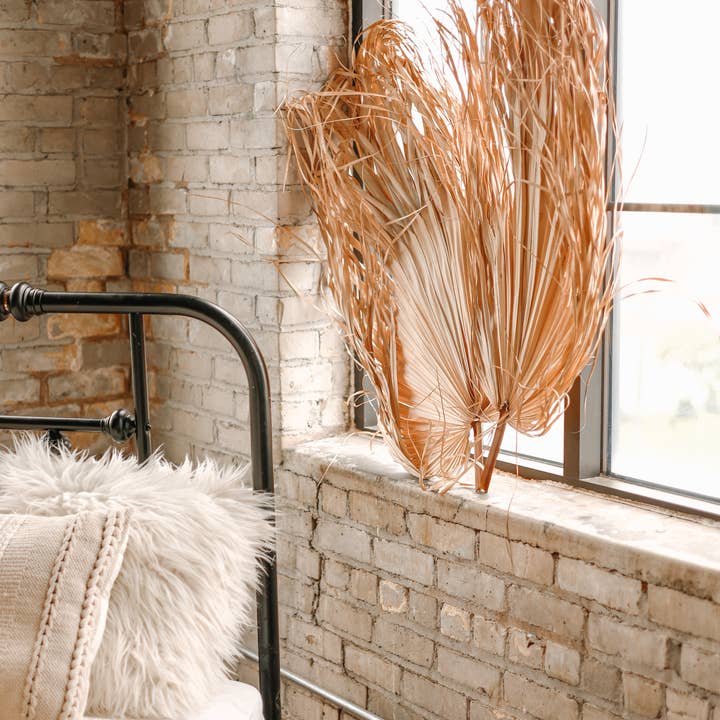 The Blooming Palm - Wholesale Retailer sample – Home decor - 3ft. JUMBO Sun-Dried Wild Untouched Palm Leaf Wispy Frond8