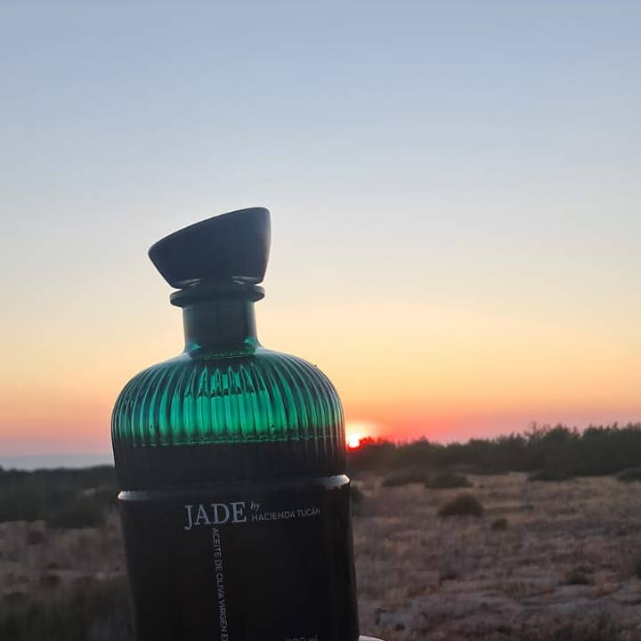 Hacienda Tucán - Vendita all'ingrosso Olio d'oliva - Jade olio extravergine di oliva picual5