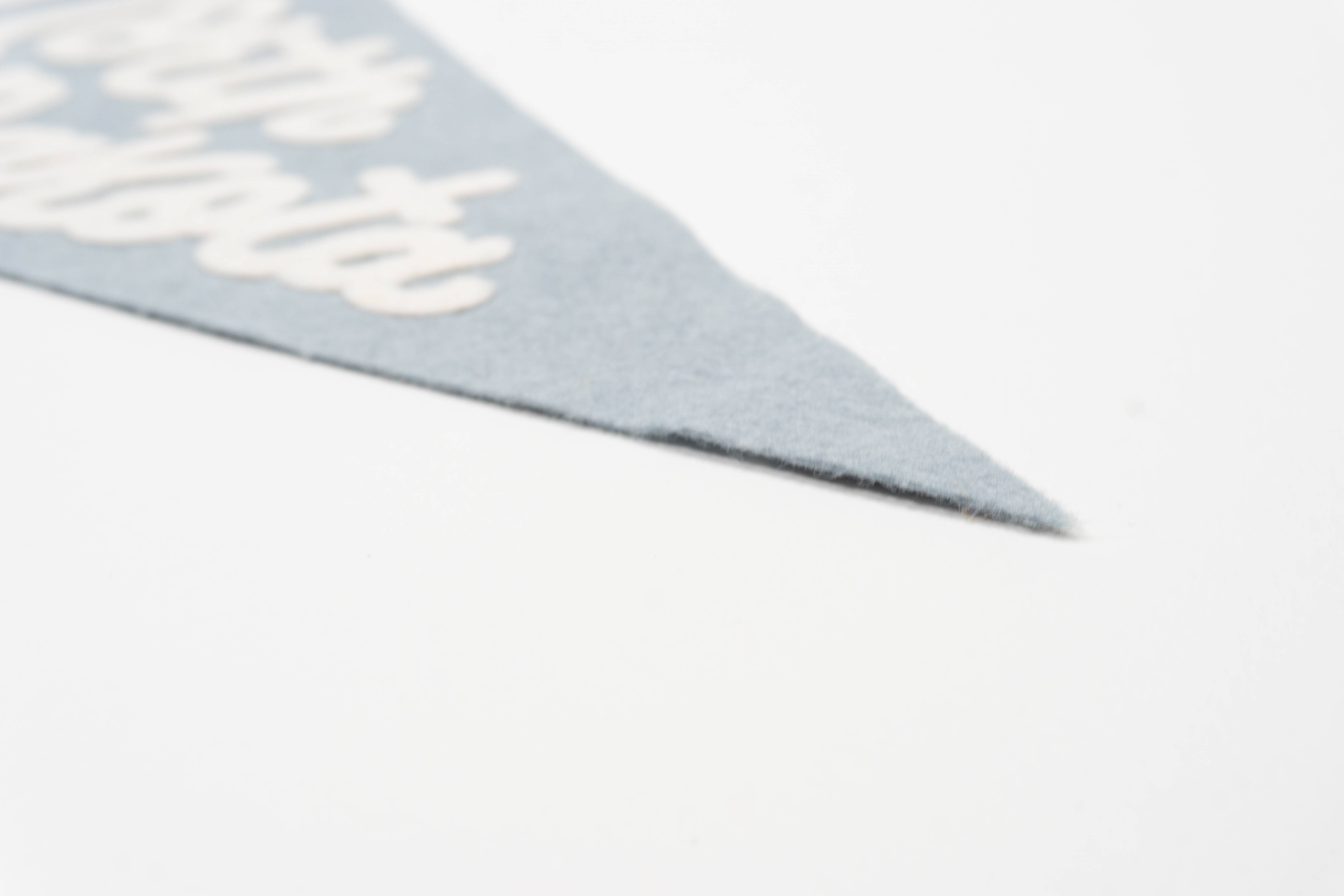 traveldashery - Wholesale Banner - north dakota pennant29