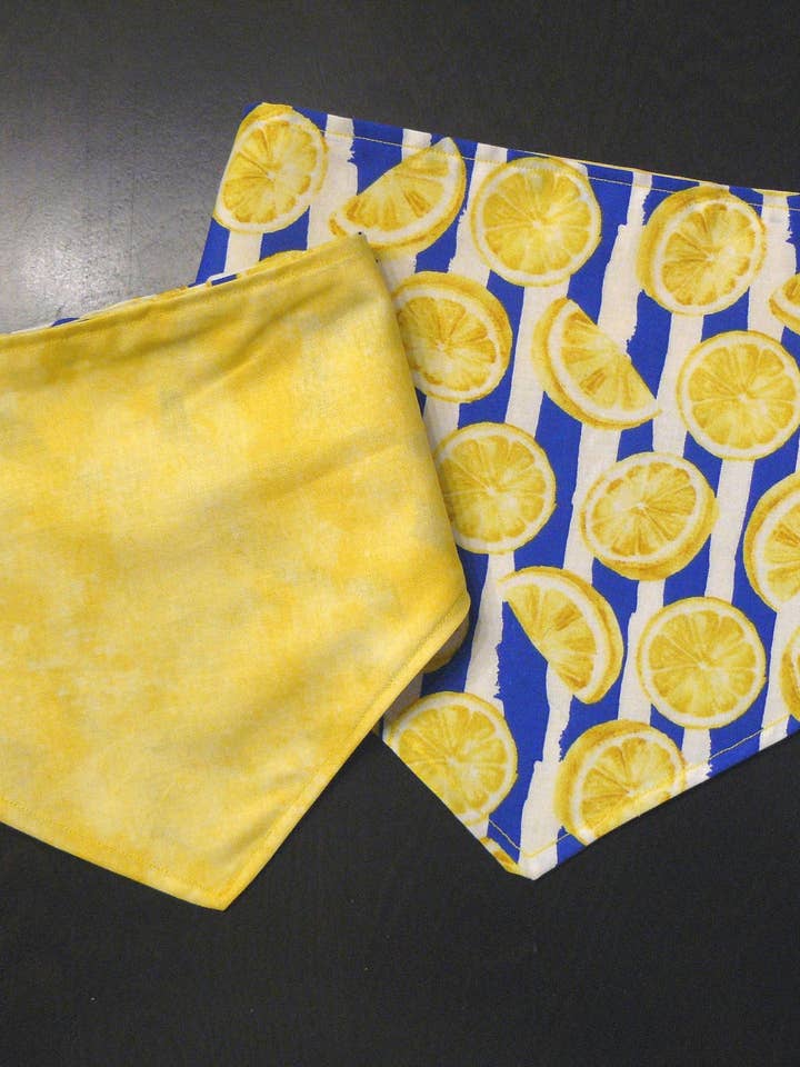 Lemonade Reversible Pet Bandana for wholesale by Bleu Malice