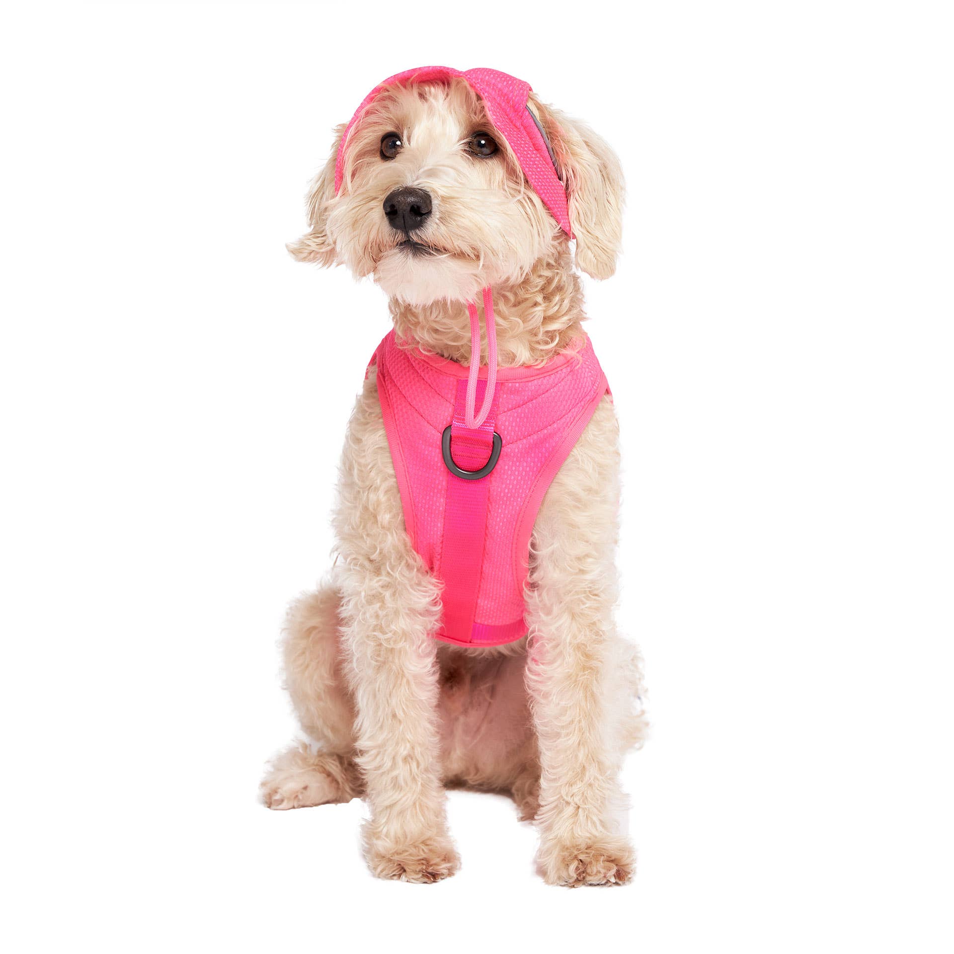 Rose fluo Canada Pooch Chill Seeker Chapeau rafraîchissant pour chien (rose néon) en vente sur Faire4