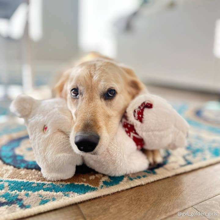 HuggleGroup - Wholesale Pet Plush Toy - Dog - Nordic Frost Squooshie™ Polar Bear Plush Dog Toy
