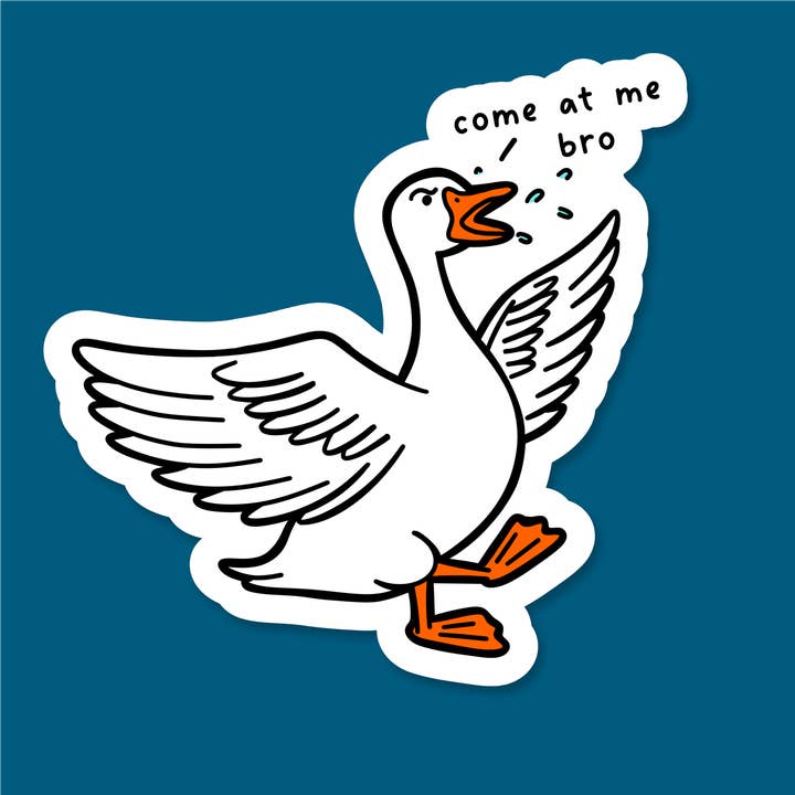 dash&doodle - Wholesale Sticker - Come At Me Bro – 3" Vinyl Sticker