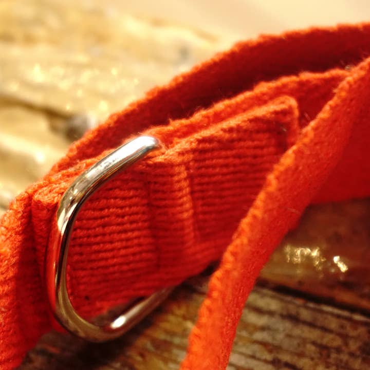 hundsfutter - Wholesale Pet Leash - Dog - Long strap with adjustable option.4