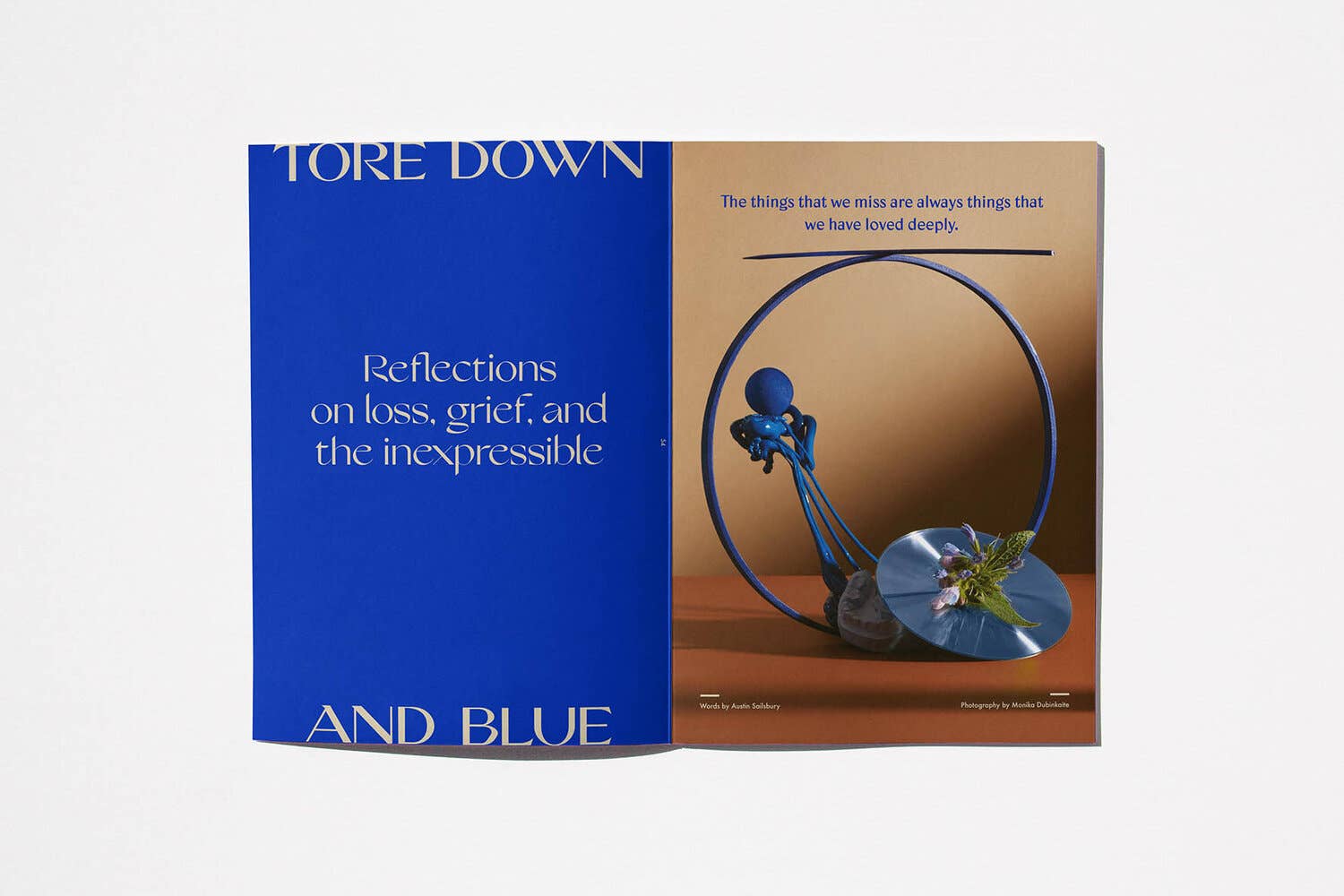 Sindroms - Wholesale Arts & Entertainment Book - Blue Sindrom9