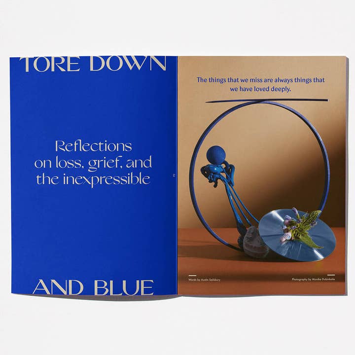 Sindroms - Wholesale Arts & Entertainment Book - Blue Sindrom9