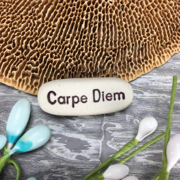 Spinning Star Studio - Wholesale Decorative Tabletop Object - Carpe Diem, Pocket Meditations3