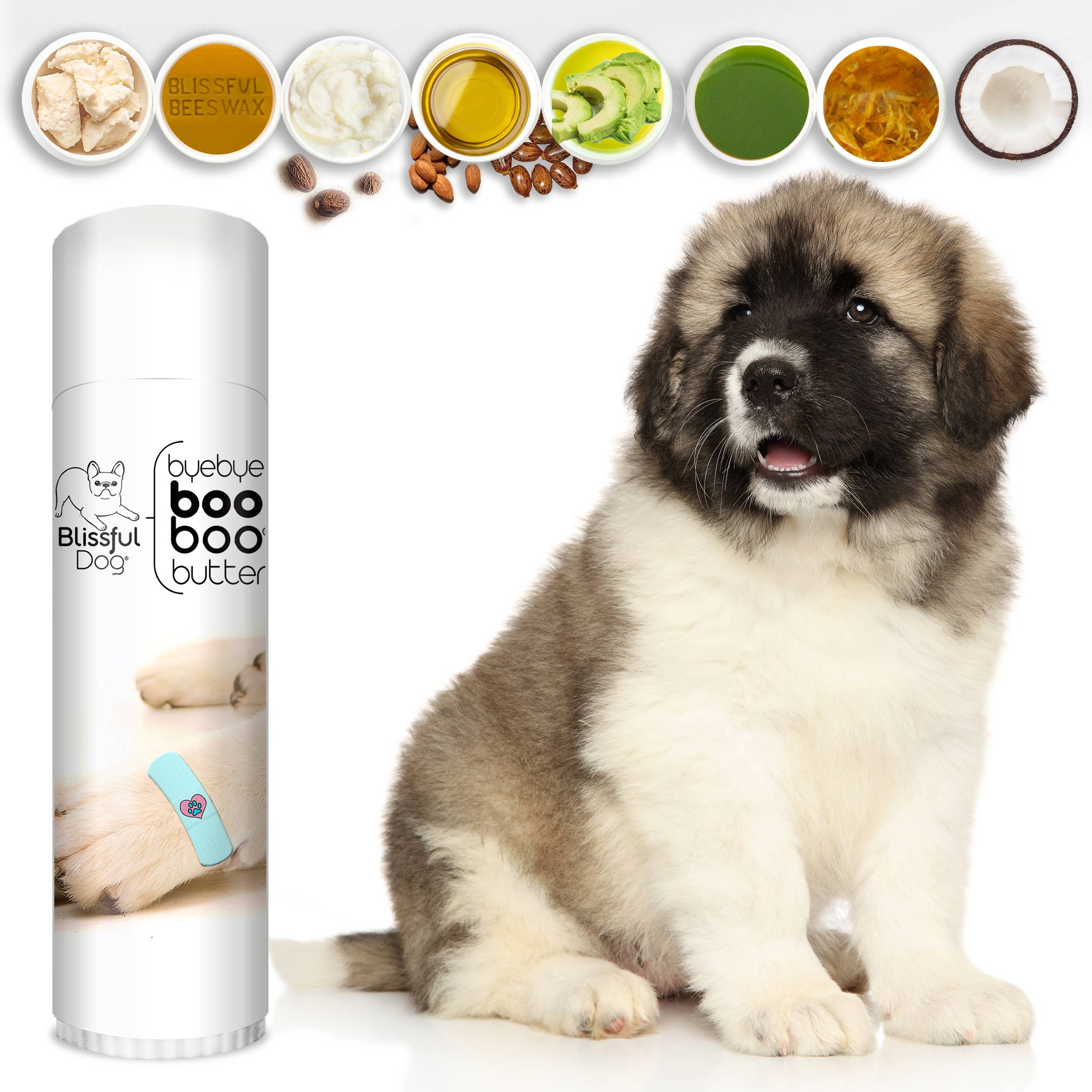 The Blissful Dog – Großhandel Balsam für Haustiere – Hund – Boo Boo Butter für kleinere Hautprobleme3
