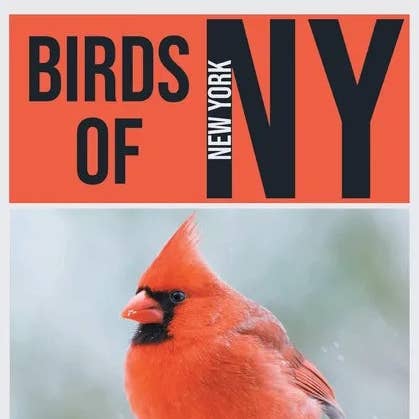 Books by splitShops - Wholesale Nature & Outdoors - Birds of New York (The Birding Pro's Field Guides) - Paperback