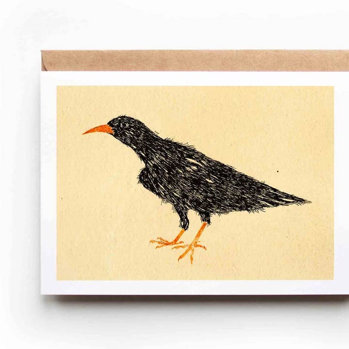 'Cornish Chough' Greeting Card for wholesale by Katia Hinic Studio