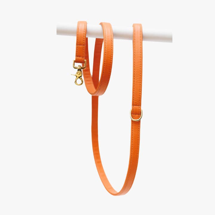 Ceinture orange pour chien en cuir véritable pour la vente par The Dog Musthaves