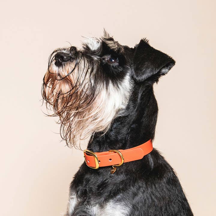 “The Adventurer” necklace - Terracota for wholesale by Fidèle Paris