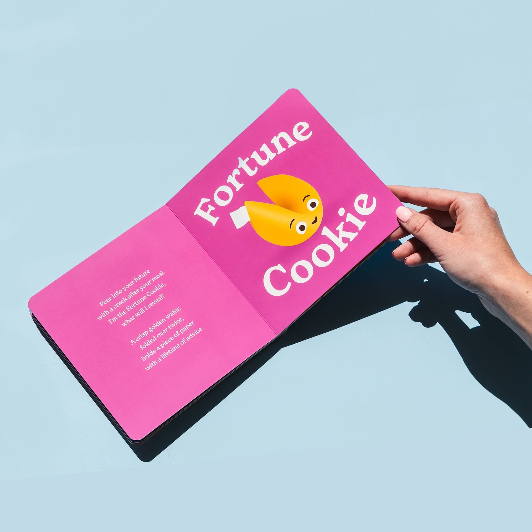 Chunky Deli - Wholesale Baby & Toddler Book (0-2) - Little Book of Cookies1