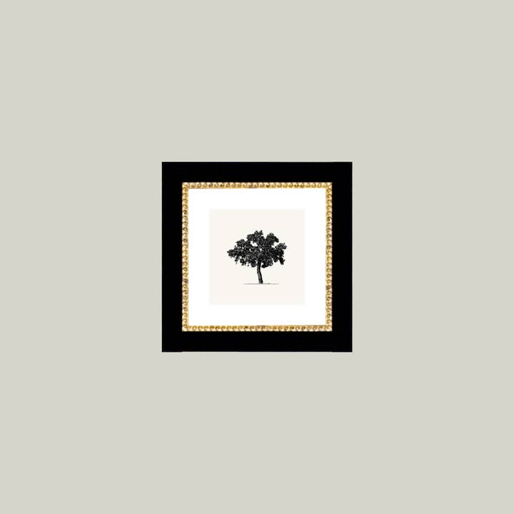 Petal Lane Home - Wholesale Wall Art Set - Tree Framed Antique Art