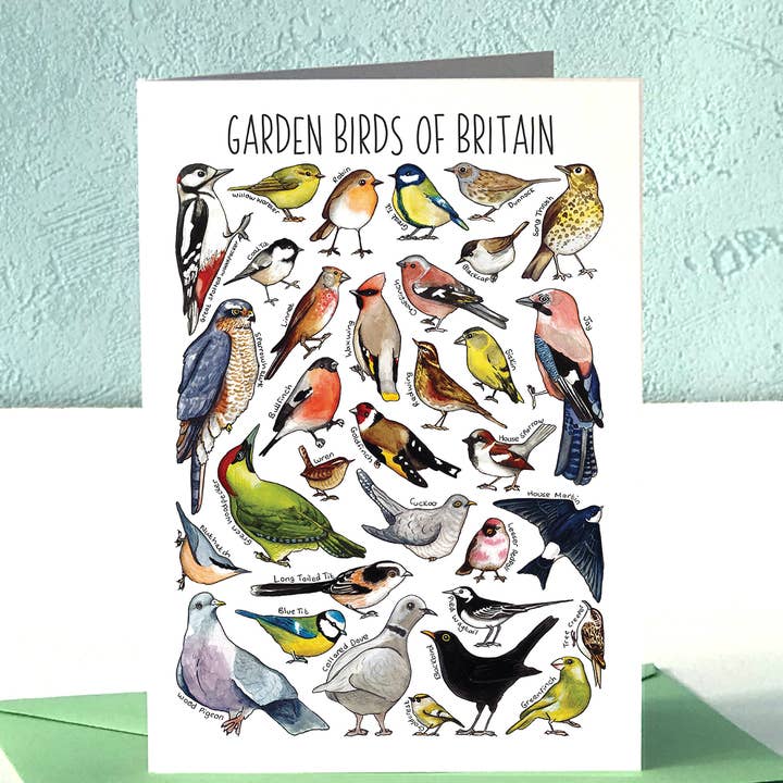 Garden Birds of Britain Art Blank Greeting Card for wholesale by Alexia Claire Ltd