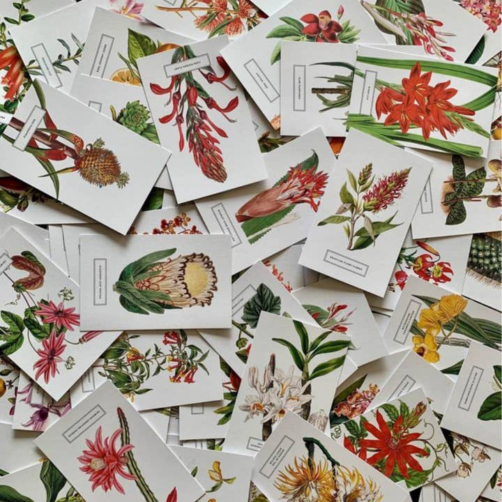Magnifique Hearts - Wholesale Postcard Set - Vintage Style Botanical Postcards Prints | Lucky Dip Set Of