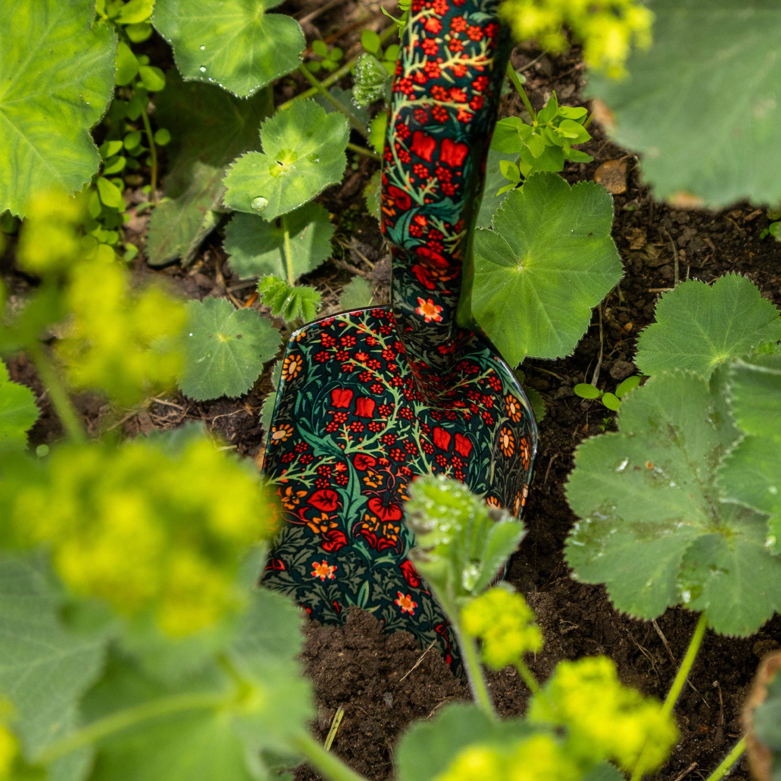 Robert Frederick Ltd - Vendita all'ingrosso Attrezzi da giardino - Set di attrezzi da giardinaggio e inginocchiatoio Orange Grove – Design William Morris Blackthorn5