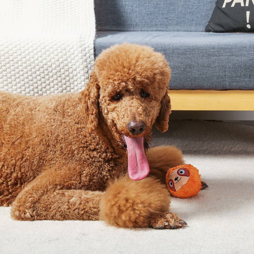 Hugsmart Products Inc - Wholesale Pet Fetch Ball - Dog - HugSmart Pet - Zoo Ball | Sloth - Dog Ball Toy4