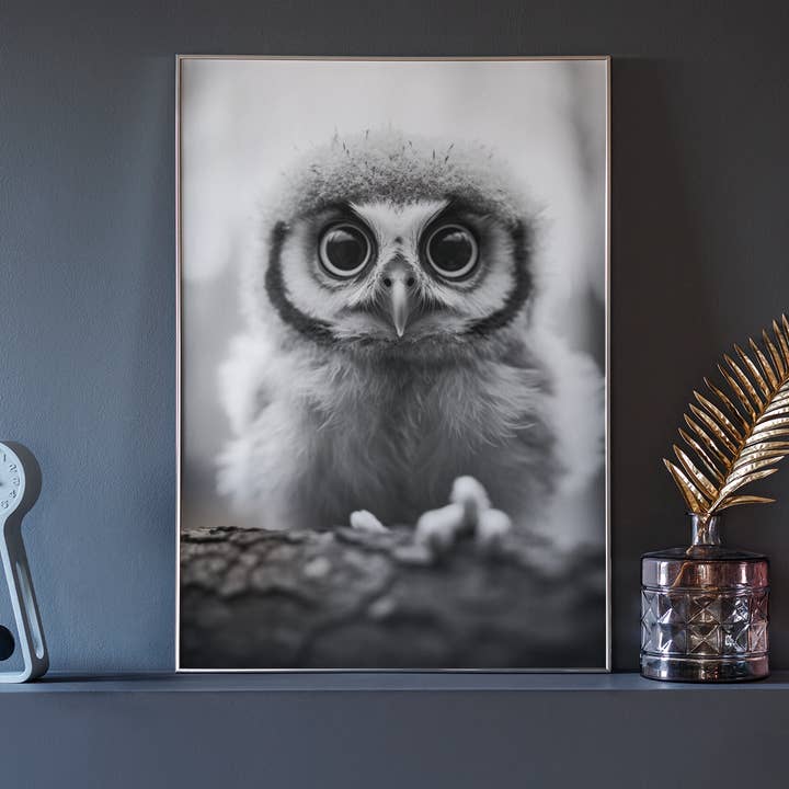 Paperwhite Lille Ugle - Sort Hvid Foto - Vintage Plakat for engroshandel på Faire1